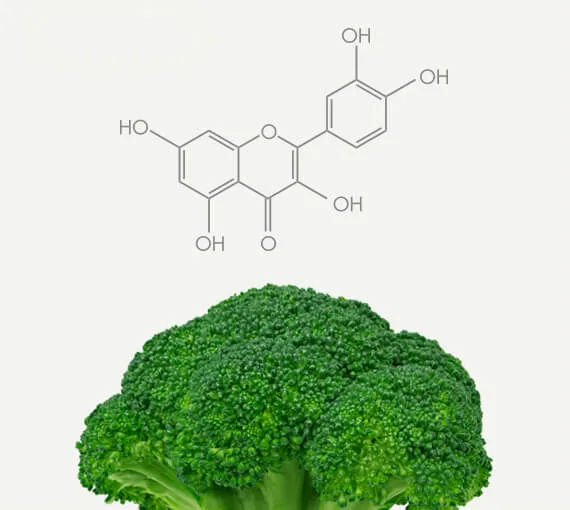 Pomi-T® – The Original Clinically Studied Polyphenol Formula 8 Broccoli Polyphenol