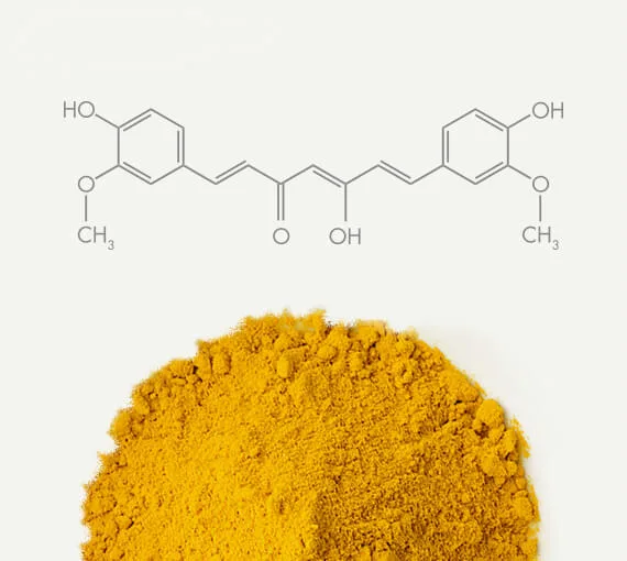 Pomi-T® – The Original Clinically Studied Polyphenol Formula 9 Turmeric Polyphenol